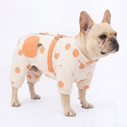 Cute-Frenchie-Winter-Coat.jpg