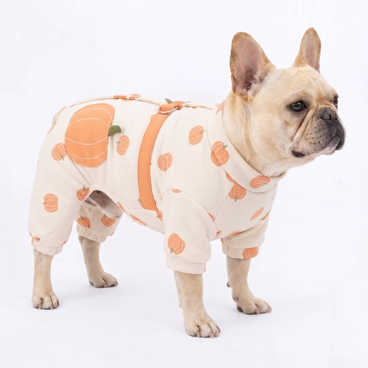 Cute-Frenchie-Winter-Coat.jpg