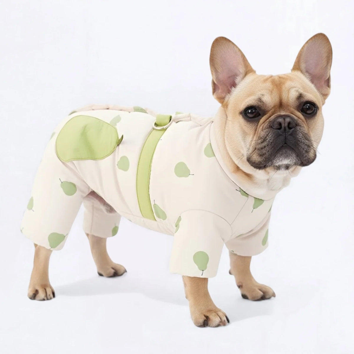 Cute-Frenchie-Winter-Coat.jpg