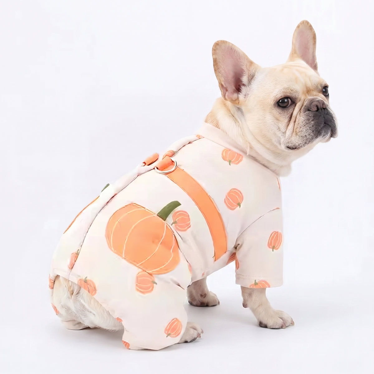 Cute-Frenchie-Winter-Coat.jpg