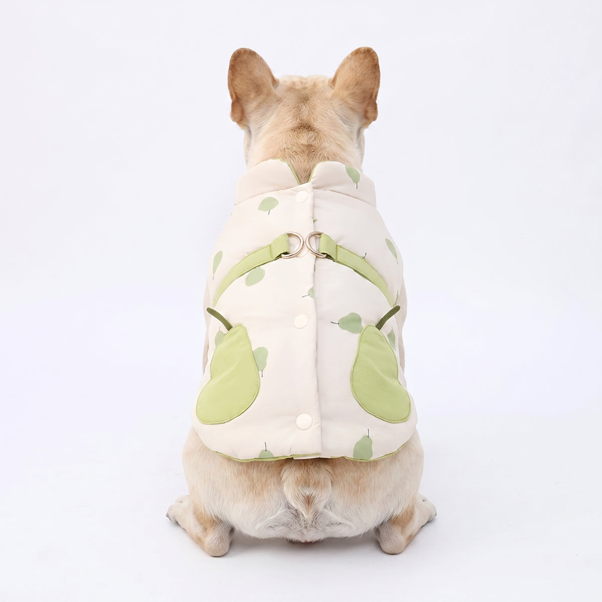 Cute-Frenchie-Winter-Coat.jpg