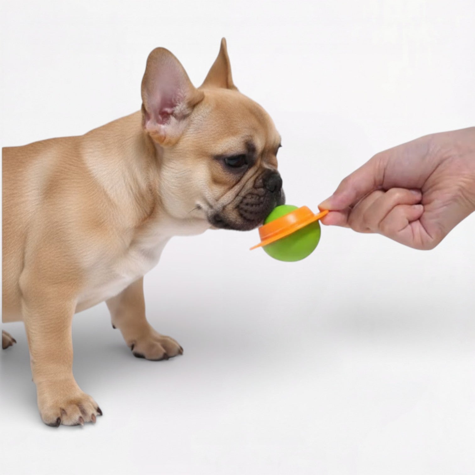 Dog-Happy-Rotating-Planet-Ball-Toy.jpg