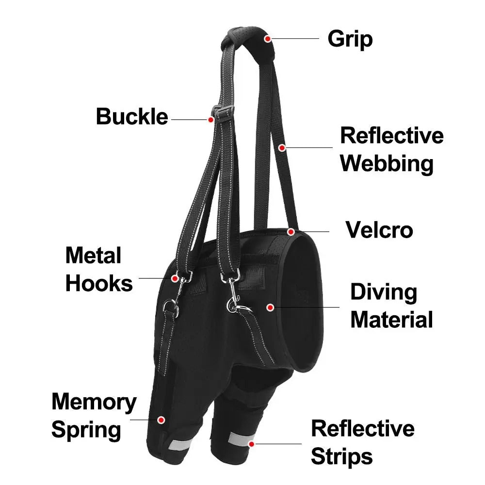 Dog-Hind-Leg-Support-Harness.jpg