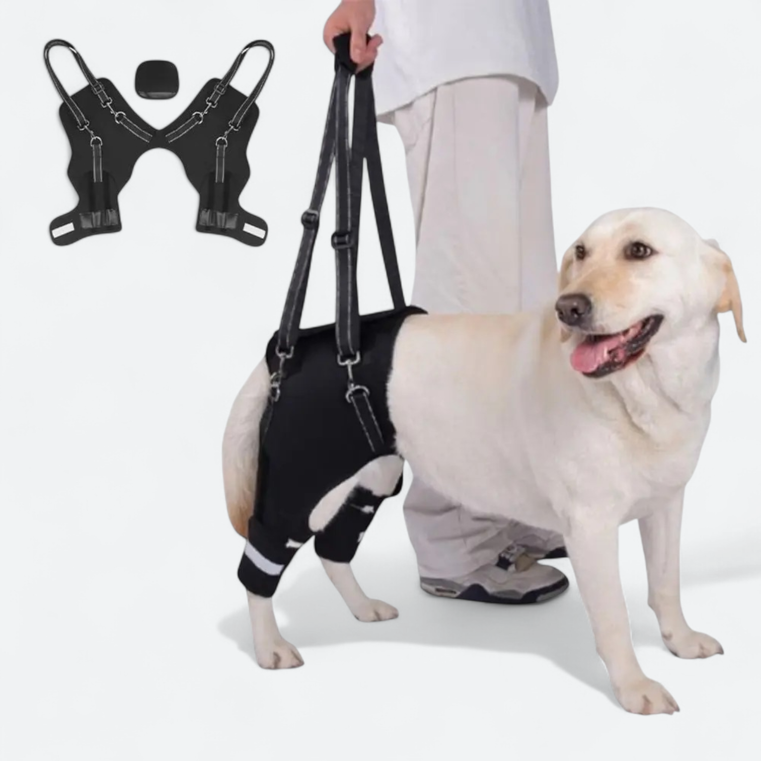 Dog-Hind-Leg-Support-Harness.jpg