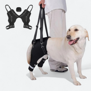 Dog-Hind-Leg-Support-Harness.jpg