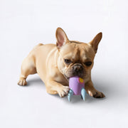 Dog-Mini-Squeaky-Toy.jpg