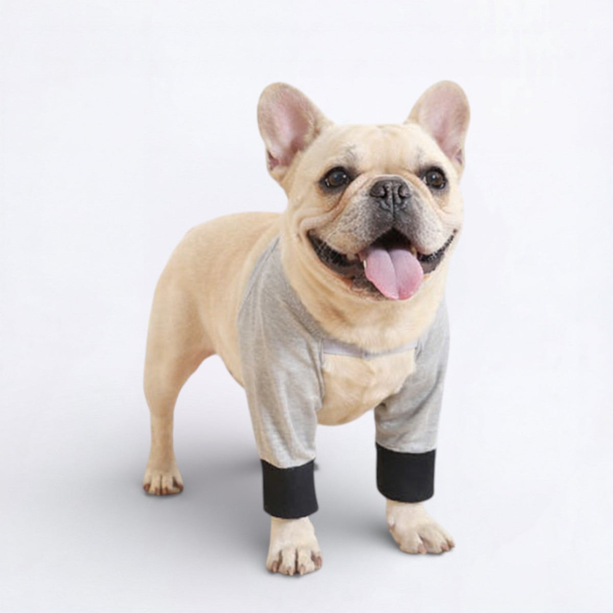 Dog-Recovery-Sleeve.jpg