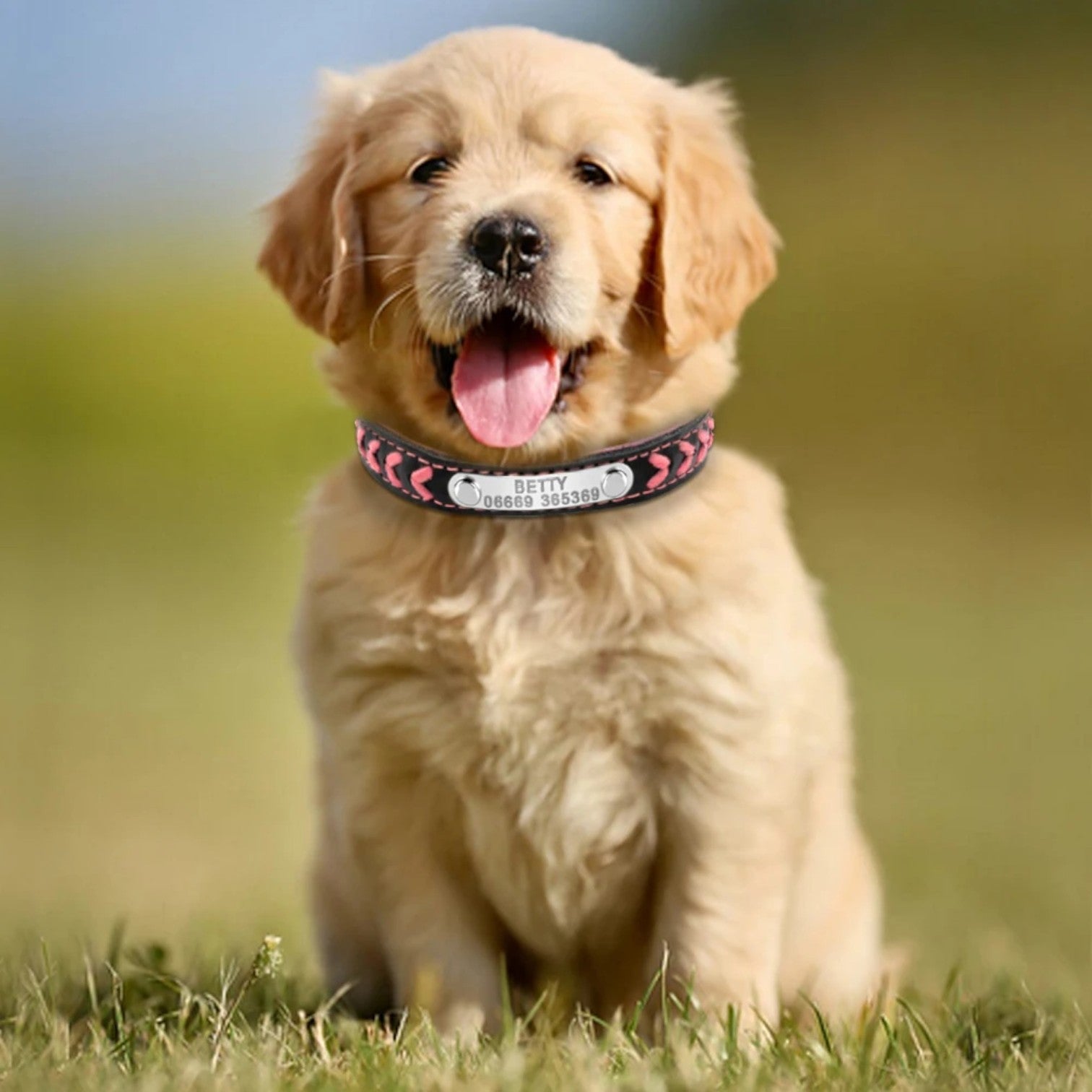 Engraved-Leather-Dog-Collar-Leash-Set.jpg