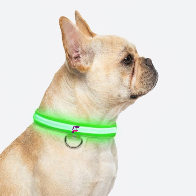 French Bulldog Adjustable LED Glowing Collar | Frenchie Light-Up Collar