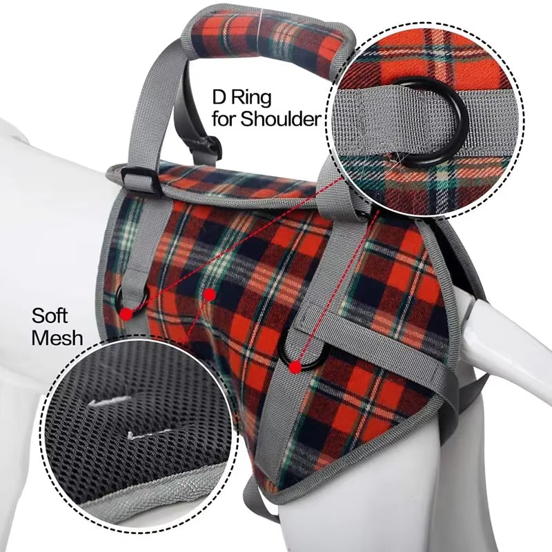 Lift support harness for French Bulldogs with an adjustable shoulder strap