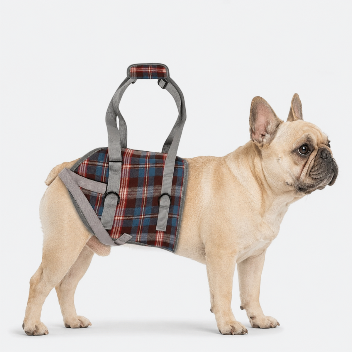 French Bulldog lift harness in a soft plaid outer with bound edges