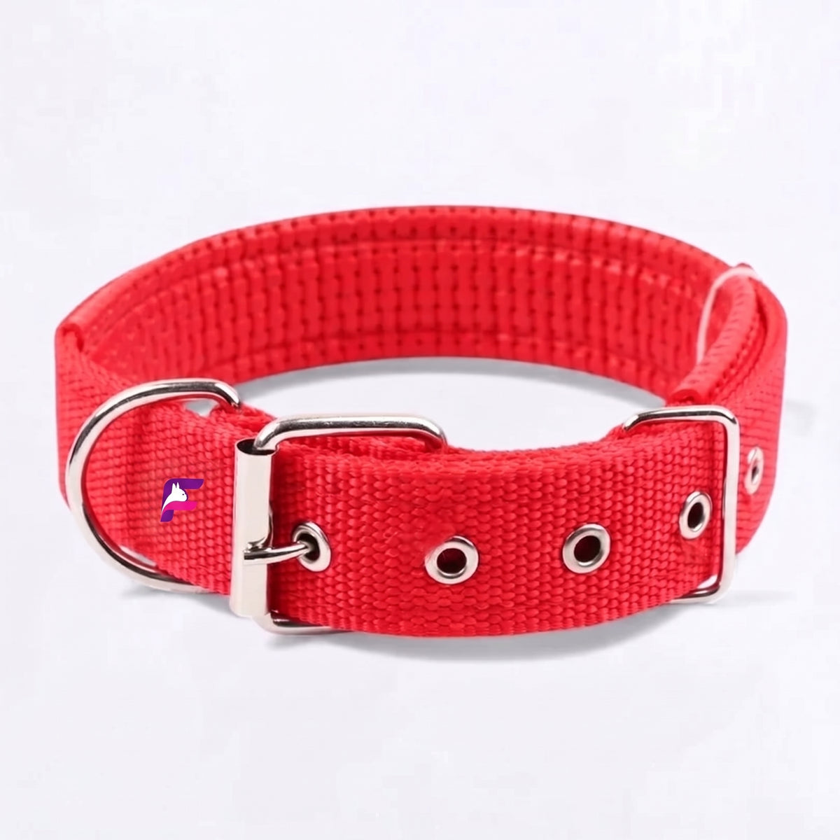 French Bulldog Adjustable Solid Nylon Collar | Frenchie Everyday Webbing Collar