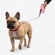 French Bulldog Automatic Extendable Leash | Frenchie Retractable Leash