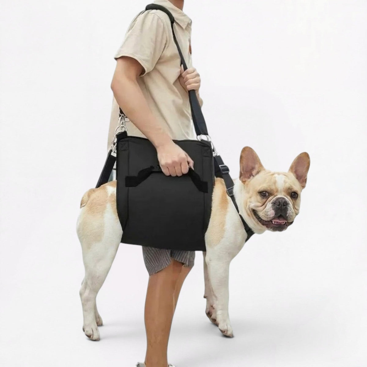 Padded belly lift sling for French Bulldogs with a broad under-belly panel