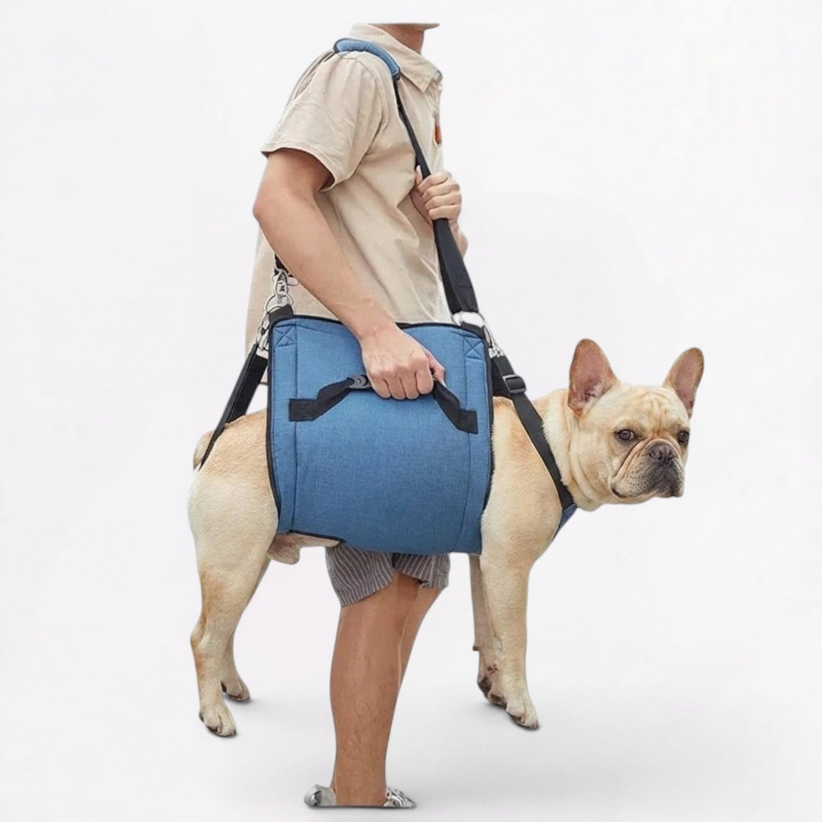 French Bulldog belly sling with an adjustable padded shoulder strap