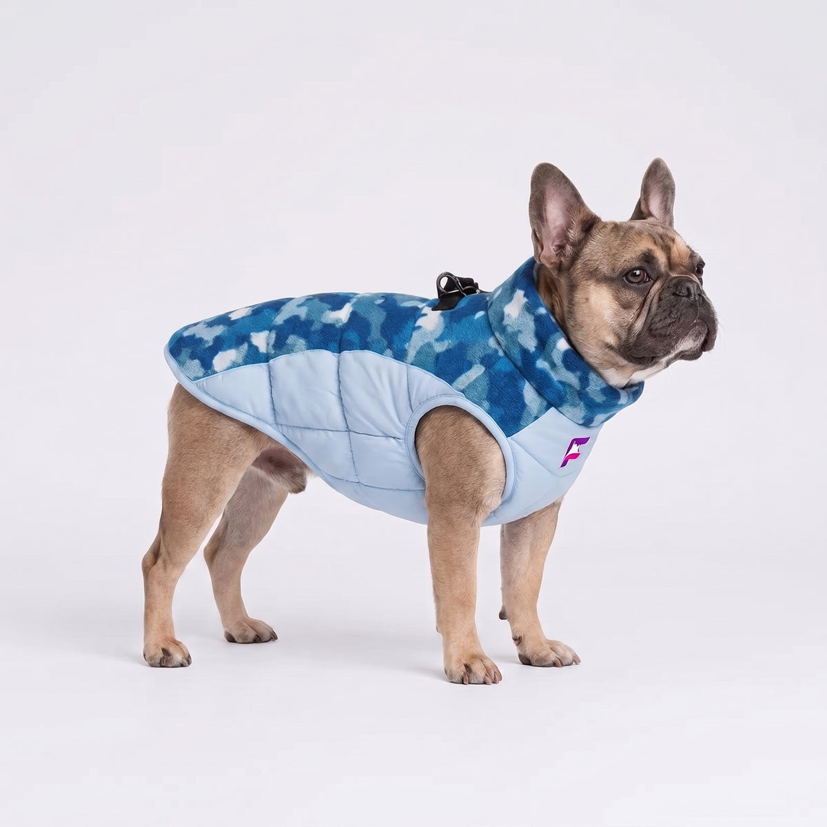 French Bulldog Camo Cotton Coat | Frenchie Windproof Winter Coat