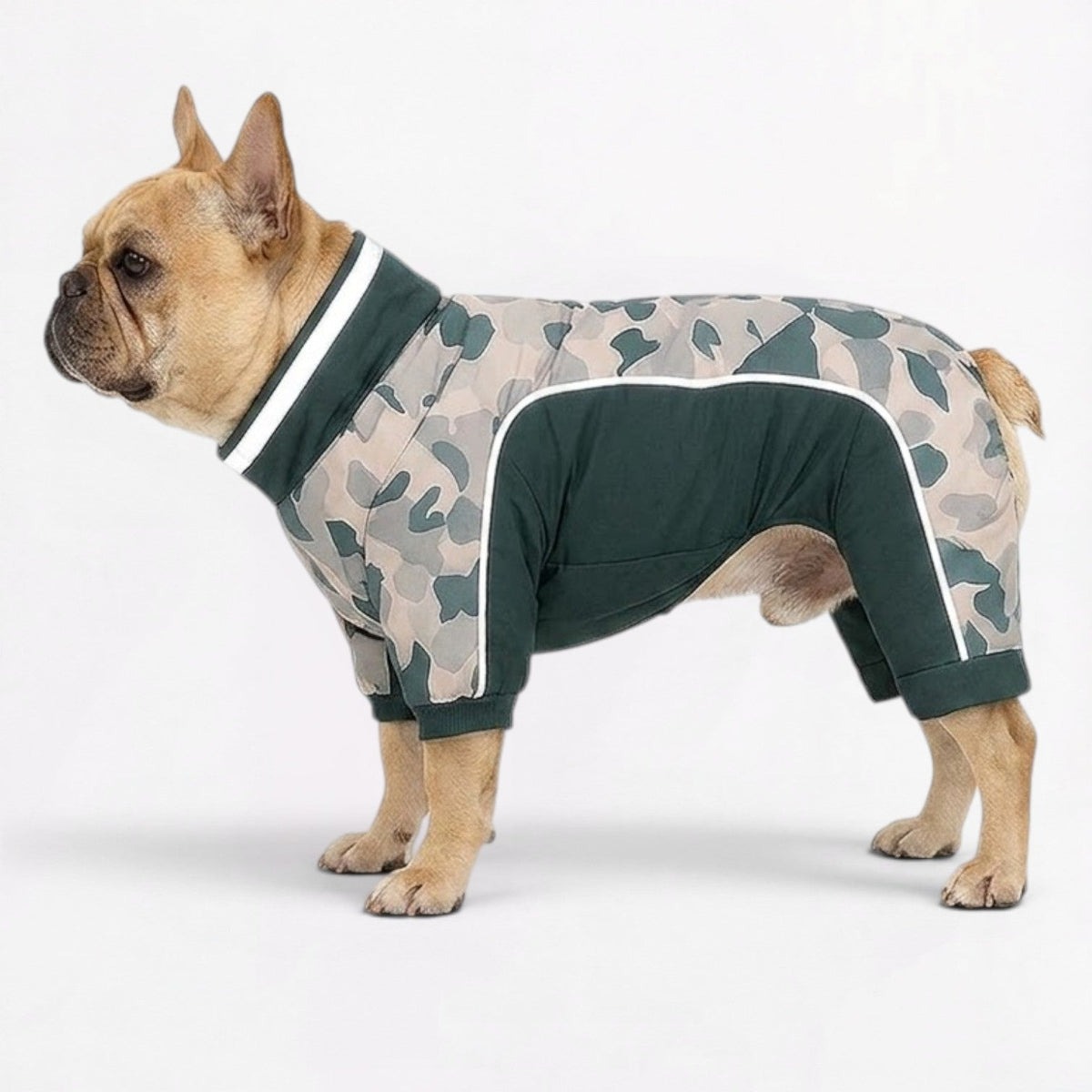 Reflective strips on a French Bulldog winter jumpsuit for visibility on evening walks