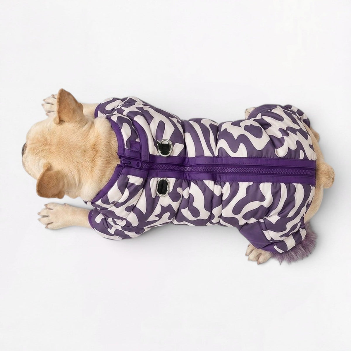 Insulated French Bulldog winter jumpsuit in purple or dark green
