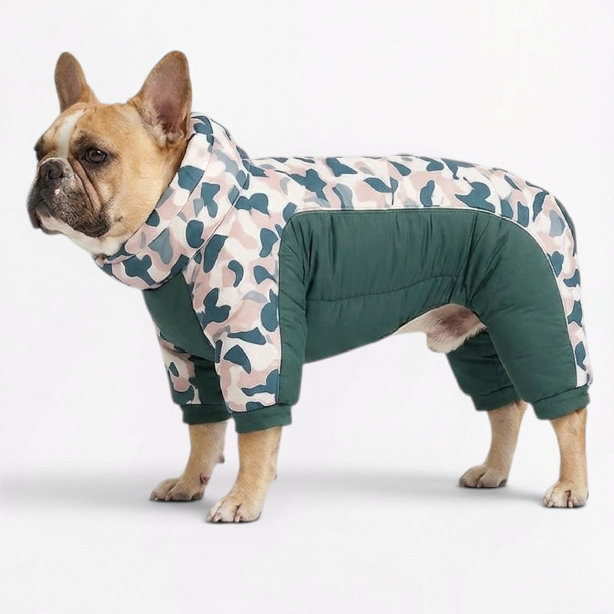Water-resistant French Bulldog jumpsuit that protects the belly and legs from cold ground
