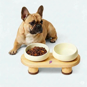 French Bulldog Ceramic Double Bowls | Frenchie Elevated Feeder Stand