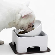 Tilted ceramic elevated dog bowl for Frenchies on an adjustable stand