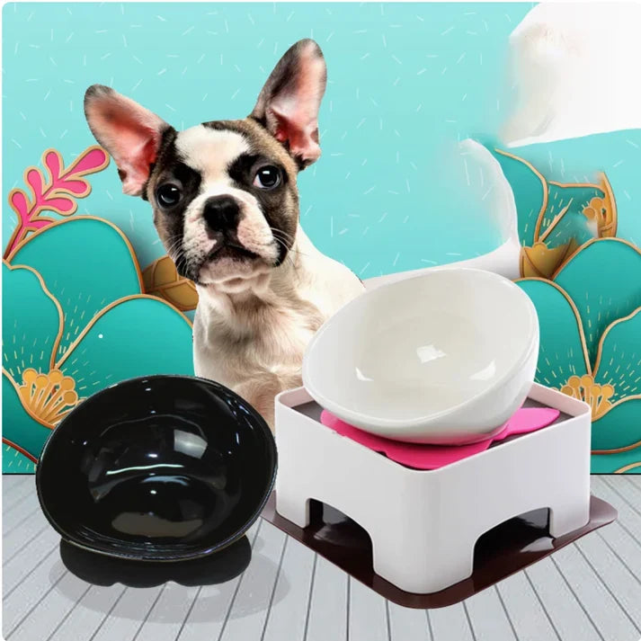 Angled ceramic bowl for Frenchies that brings food to the front