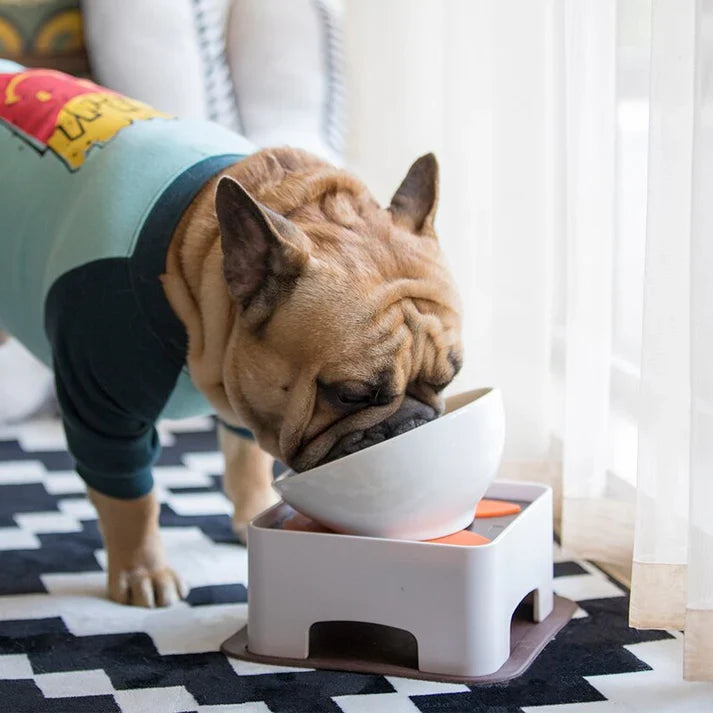 Frenchie elevated bowl with a wide base about 18 cm across