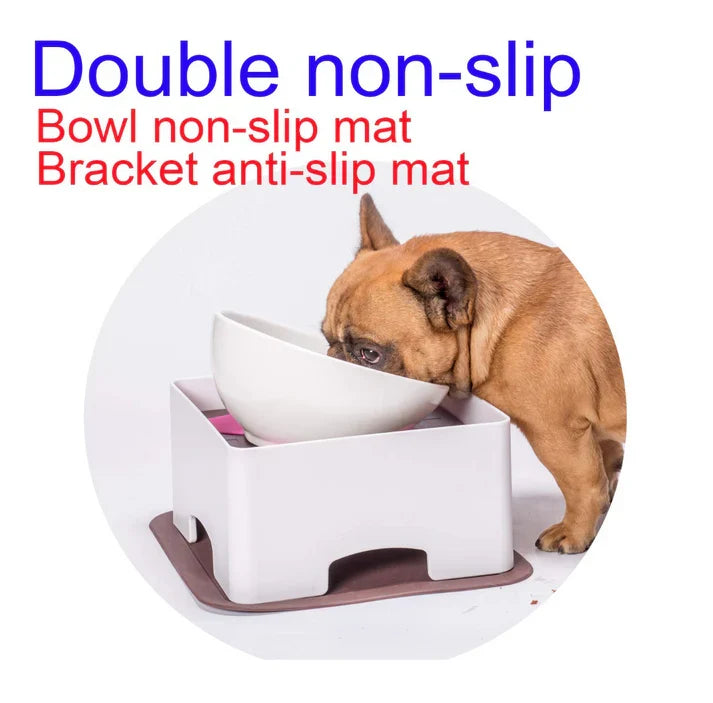 Frenchie elevated ceramic bowl with a white dish