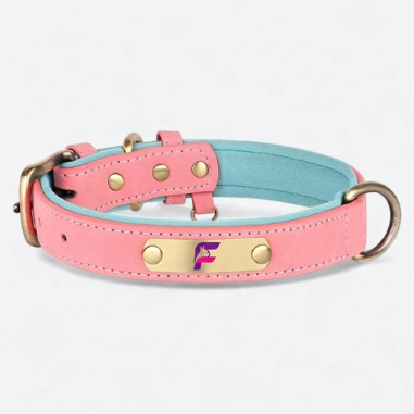 French-Bulldog-Custom-Engraved-Leather-Collar.jpg