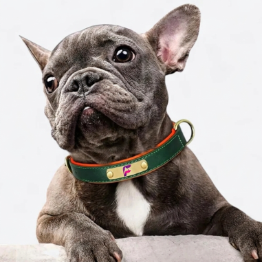French-Bulldog-Custom-Engraved-Leather-Collar.jpg