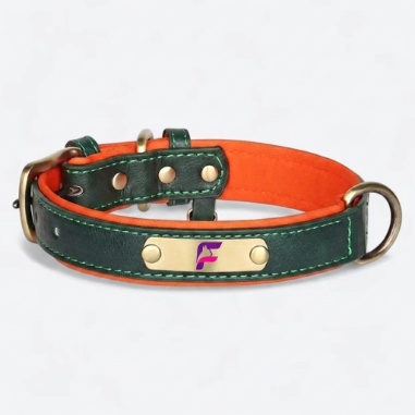 French-Bulldog-Custom-Engraved-Leather-Collar.jpg