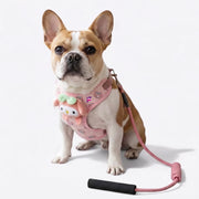 French Bulldog Cute Cartoon Harness & Leash Set | Frenchie Plush Character Set
