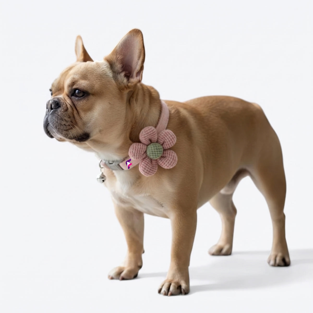 French Bulldog Cute Flower Collar with Bell | Frenchie Plush Bloom Collar