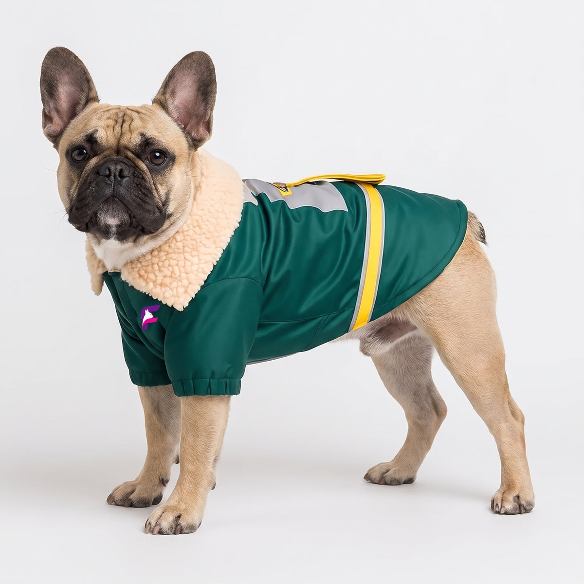 French Bulldog Detachable Cotton Coat | Frenchie 2-in-1 Jacket Set