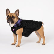 French Bulldog Double-Sided Windproof Coat | Frenchie Plaid Coat