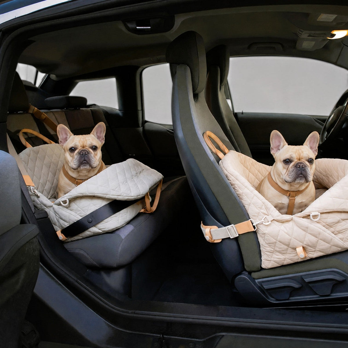 French Bulldog carrier bag with side loops for the car seat belt