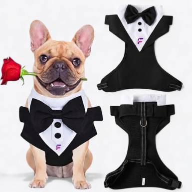French Bulldog Formal Harness & Leash Set | Frenchie Tuxedo Set