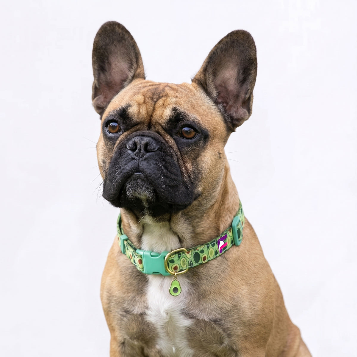 French Bulldog Fruit-Themed Collar with Metal Pendant | Frenchie Playful Print Collar