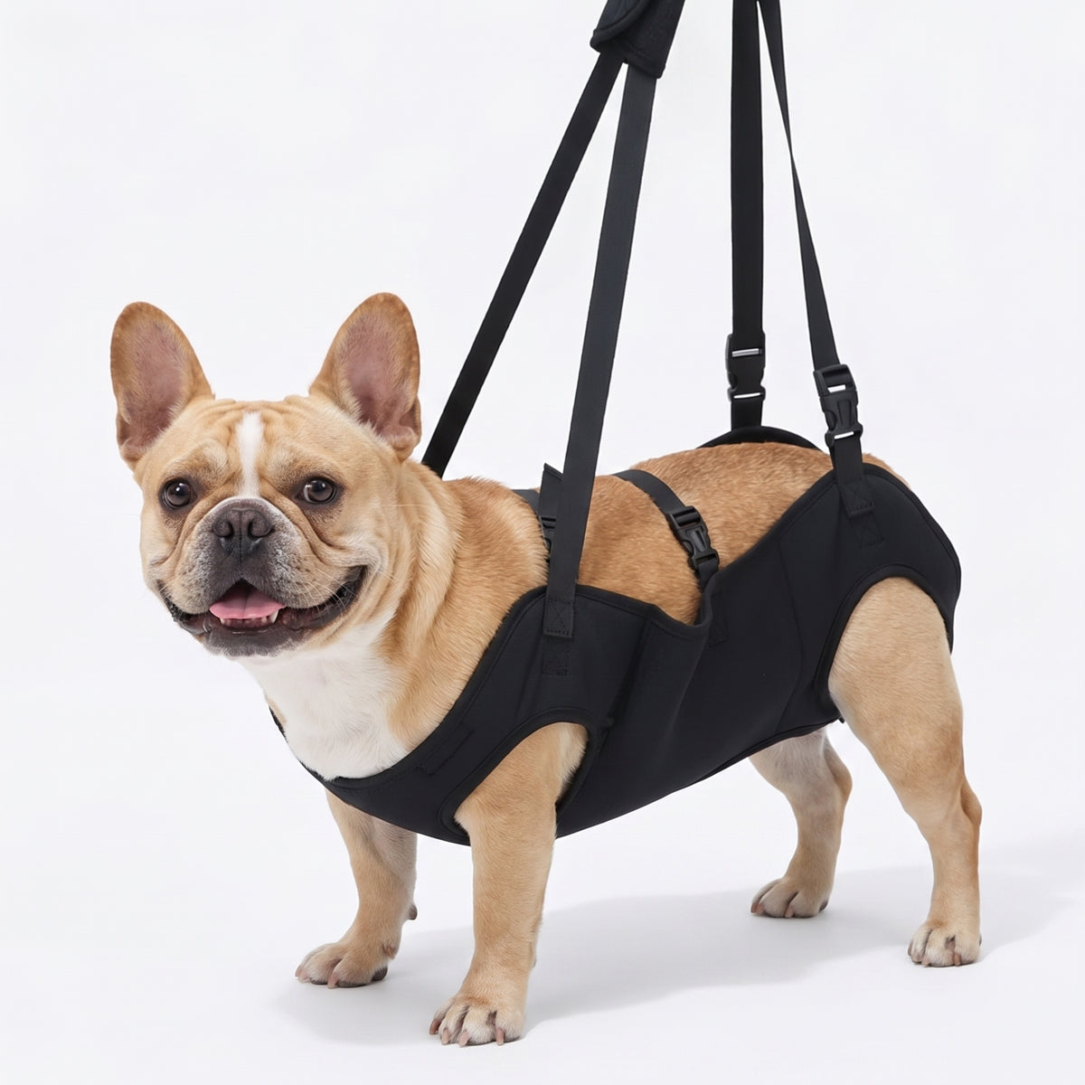 French Bulldog Full-Body Support Sling Harness | Frenchie Injured Dog Lift