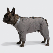 French Bulldog full-body waterproof rain suit jumpsuit