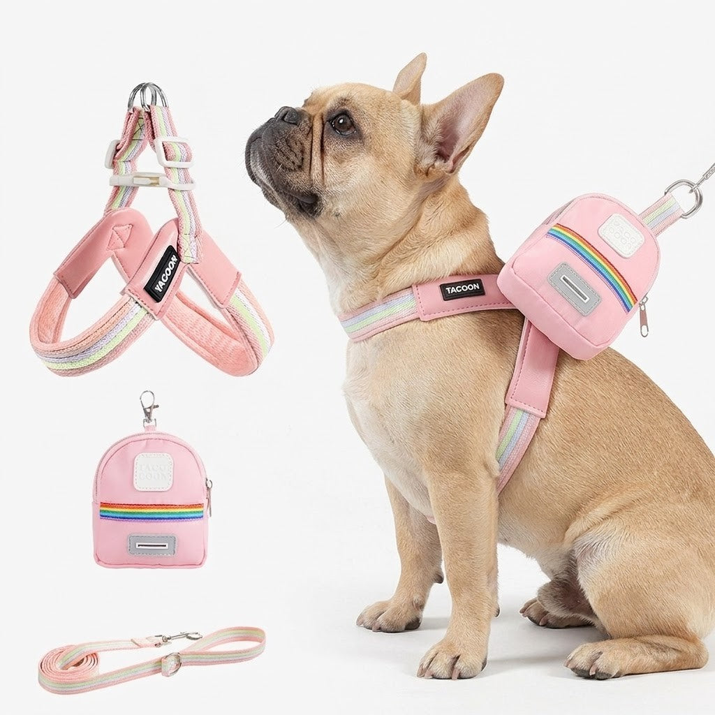 French Bulldog harness and striped leash set
