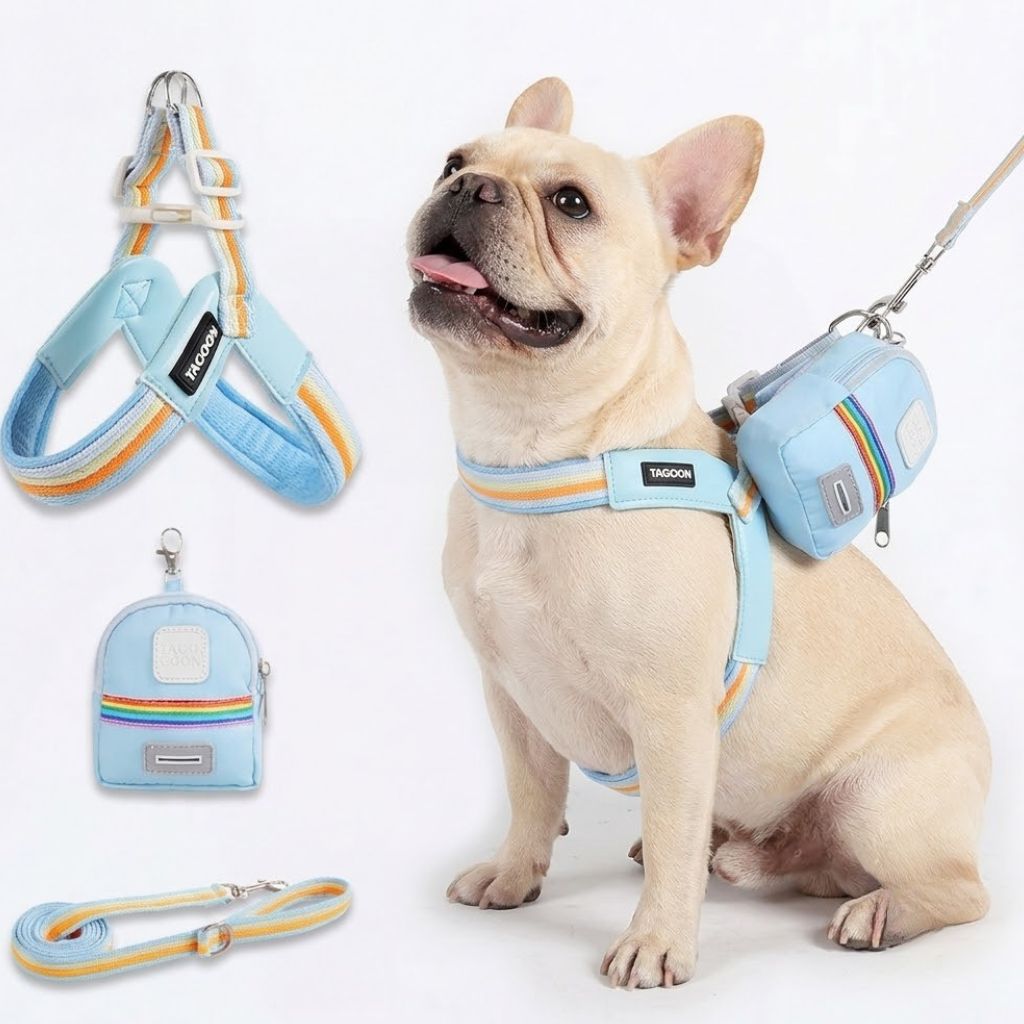 French Bulldog harness with padded chest and back panels