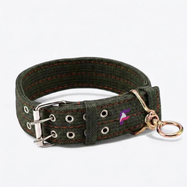 French Bulldog Heavy-Duty Adjustable Collar | Frenchie Reinforced Collar