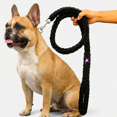French Bulldog Heavy-Duty Braided Nylon Leash | Frenchie Rope Leash