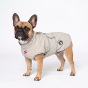 French Bulldog Heavy-Duty Outdoor Coat | Frenchie Waterproof Jacket