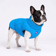 French Bulldog High Collar Cotton Coat | Frenchie Winter Coat