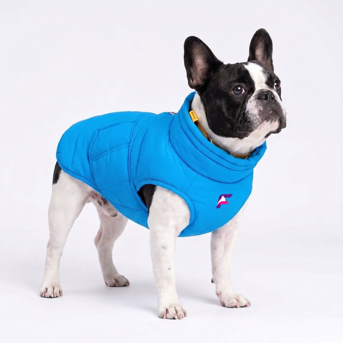 French Bulldog High Collar Cotton Coat | Frenchie Winter Coat