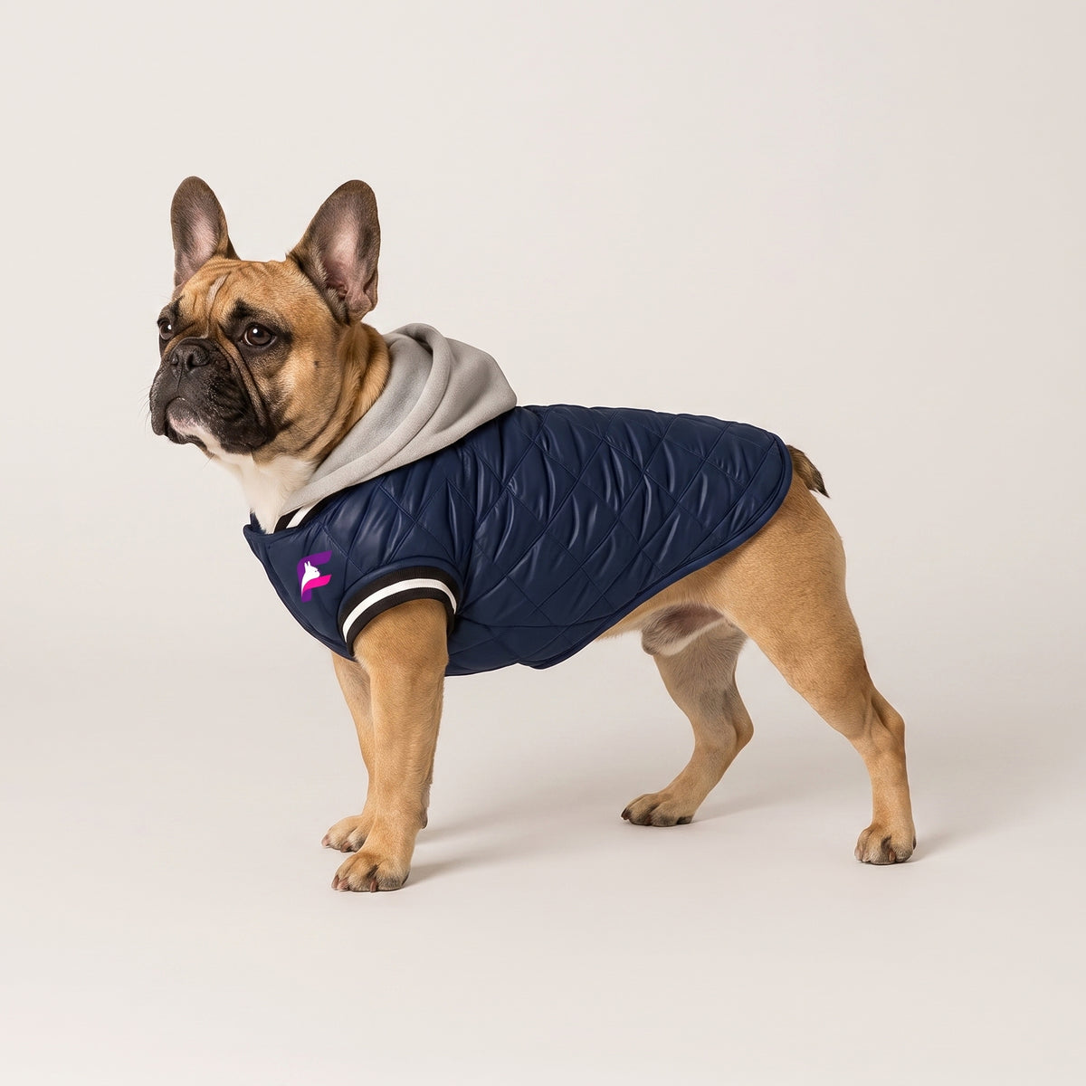 French Bulldog Hooded Cotton Jacket | Frenchie Comfortable Coat