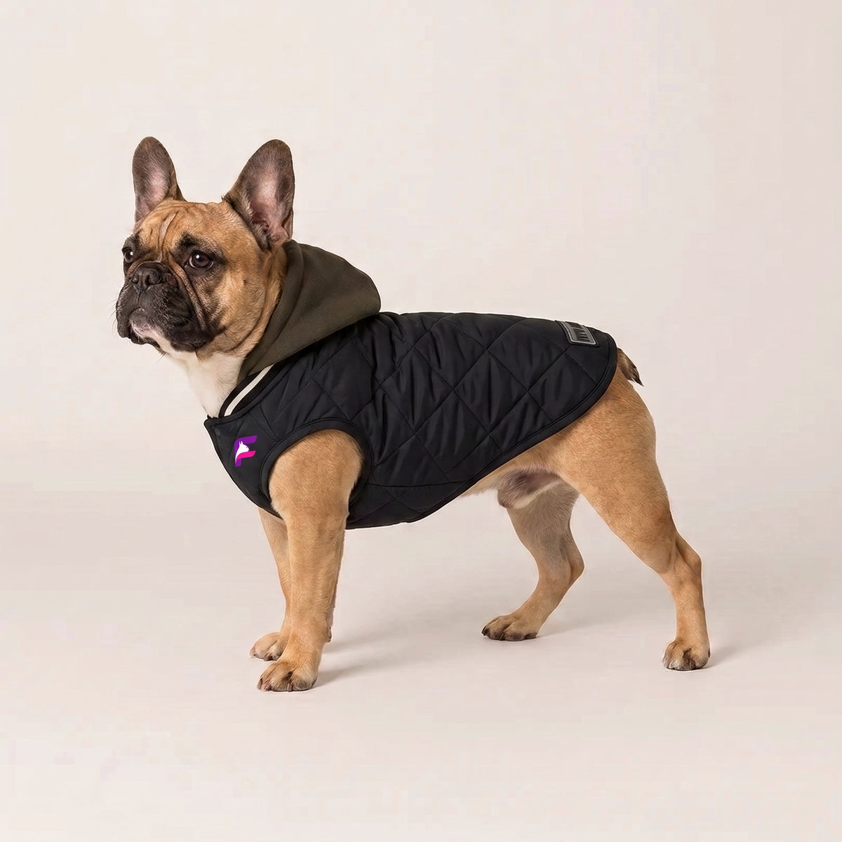 French Bulldog Hooded Cotton Jacket | Frenchie Comfortable Coat