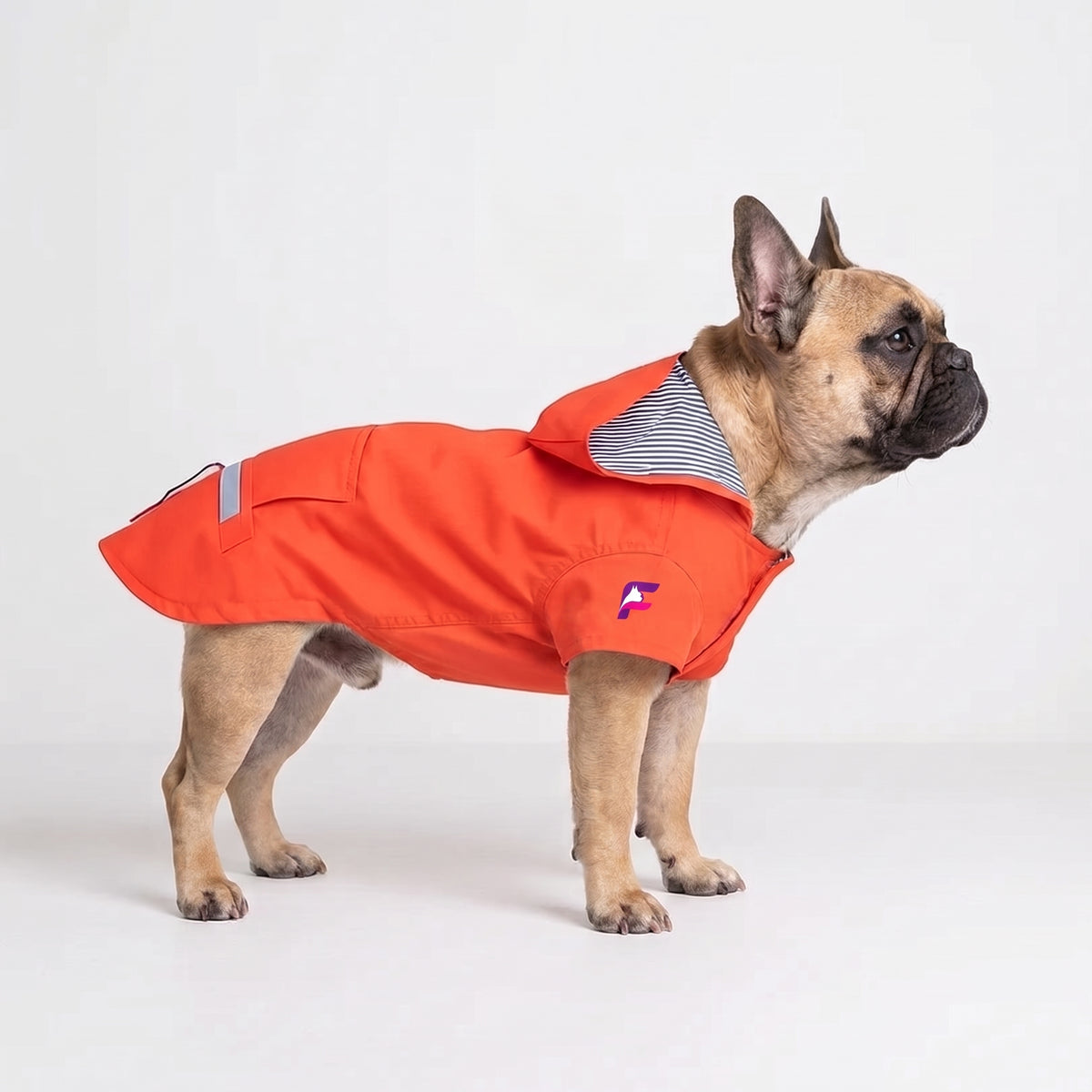 French Bulldog Hooded Raincoat | Frenchie Waterproof Rain Jacket
